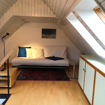 Freiburg Citywohnung Екстер'єр фото